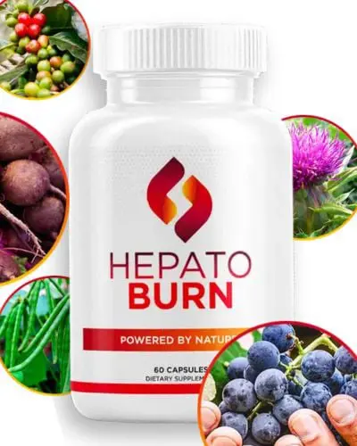 HepatoBurn